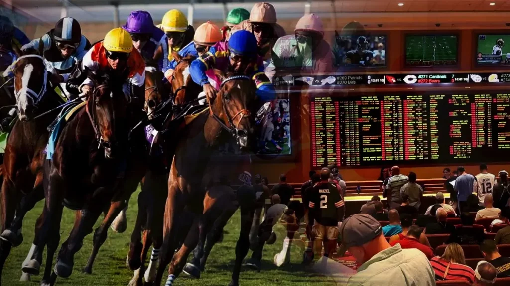 horse race bet